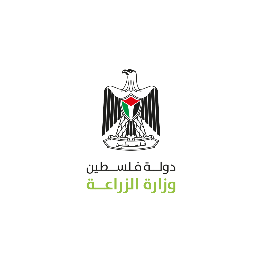 المساعدة الطارئة في مجال بذار الشعير المحسنة