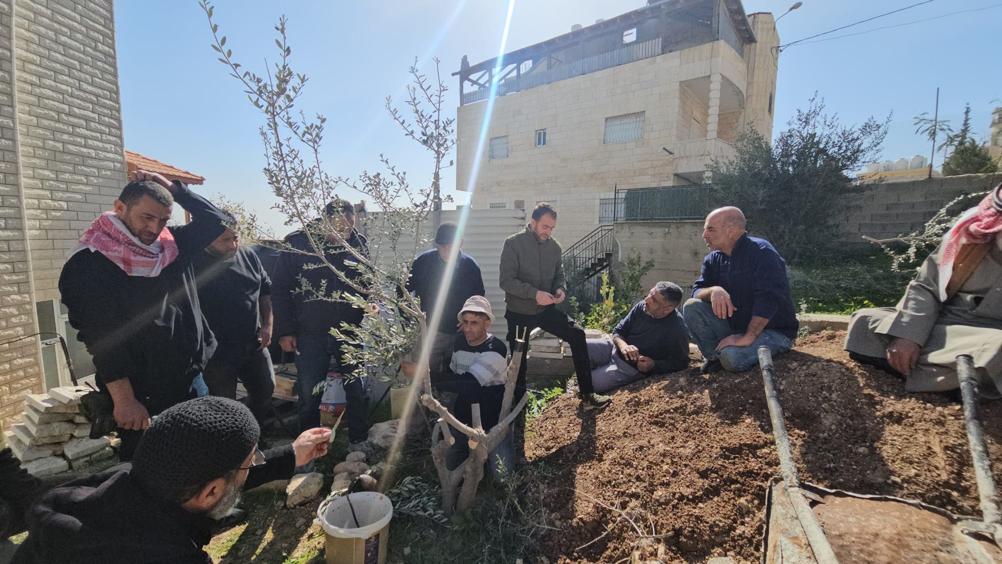 وزارة الزراعة: مديرية زراعة القدس تنفذ يوماً حقلياً لتطعيم أشجار الزيتون في أبو ديس بالشراكة مع محافظة القدس ضمن مشروع المدارس الحقلية الممول من وكالة بيت مال القدس المغربية.
