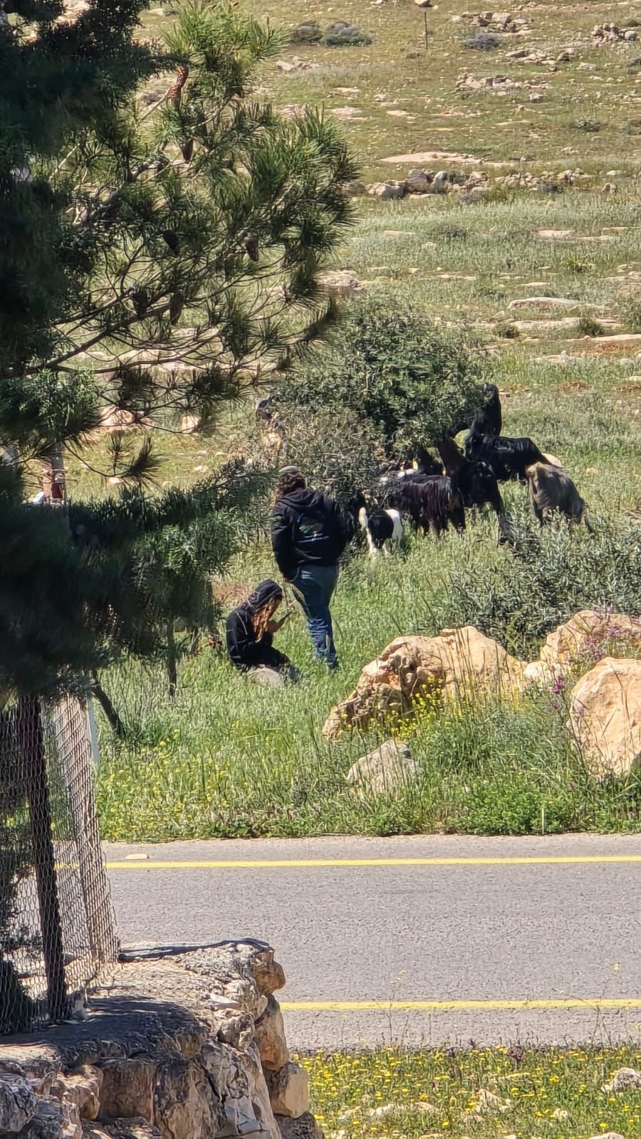 Weekly Brief of the Ministry of Agriculture Records Documenting Israeli Violations Against the Agricultural Sector During the Period from 05/04/2026 to 11/04/2026 11