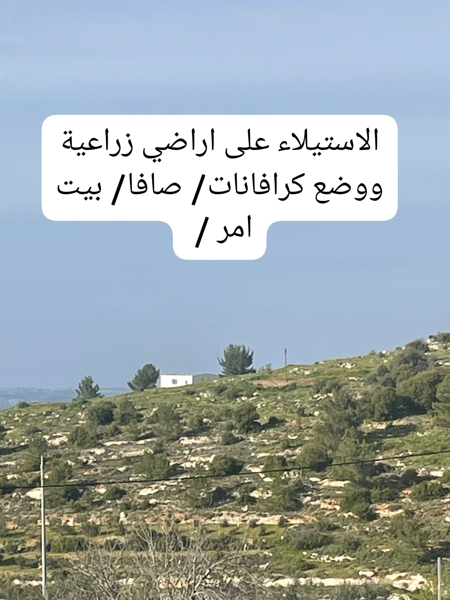 Weekly Brief of the Ministry of Agriculture Records Documenting Israeli Violations Against the Agricultural Sector During the Period from 05/04/2026 to 11/04/2026 7
