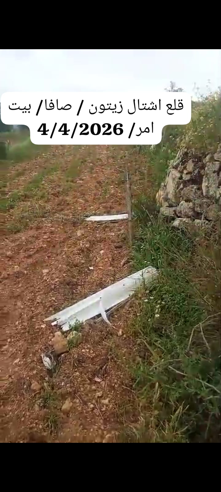 Weekly Brief of the Ministry of Agriculture Records Documenting Israeli Violations Against the Agricultural Sector During the Period from 05/04/2026 to 11/04/2026 3