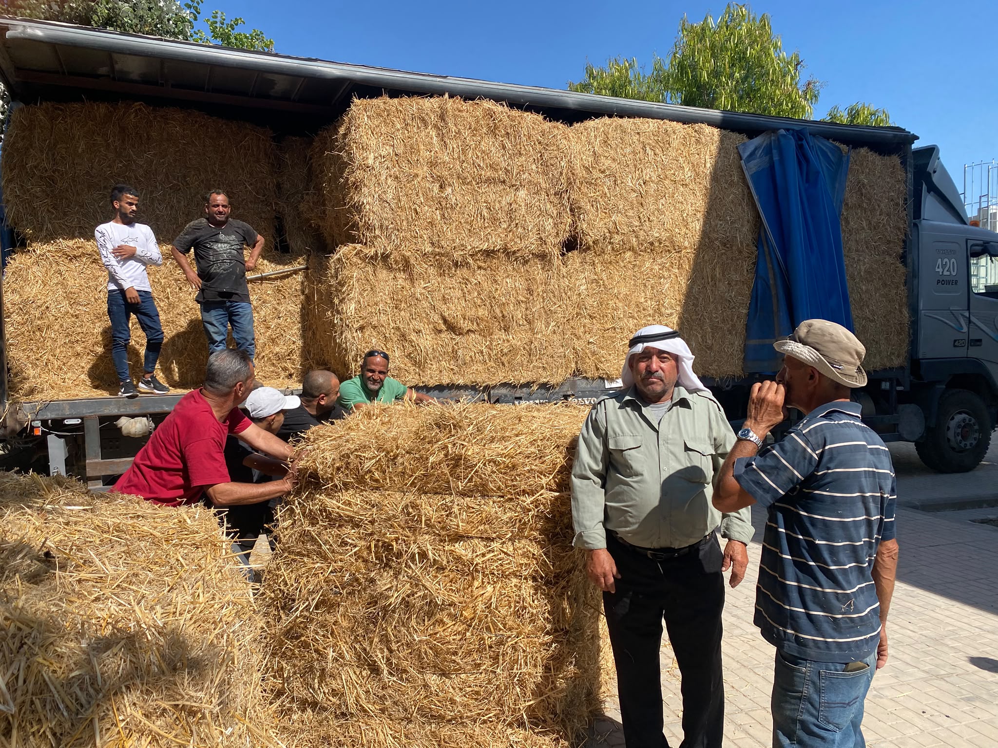 وزارة الزراعة تستجيب لاحتياجات أم صفا بتوزيع 14 بالة قش (حجم كبير وزن 450 كيلو للبالة) و14 خزان مياه دعماً لصمود المزارعين ومربي الثروة الحيوانية.