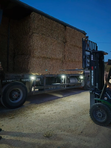 Ministry of Agriculture: As part of its emergency response efforts, Ramallah and Al-Bireh Agriculture Directorate distributed 52 bales of fodder to farmers in Abu Falah and Turmus Ayya affected by settler attacks.