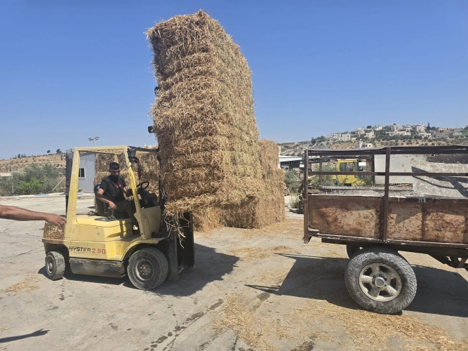 Ministry of Agriculture: Hebron Agriculture Directorate distributes 240 bales to 200 beneficiaries in Idhna in partnership with the Palestinian Center for Economic and Social Development (ESDC) and with funding from Oxfam.