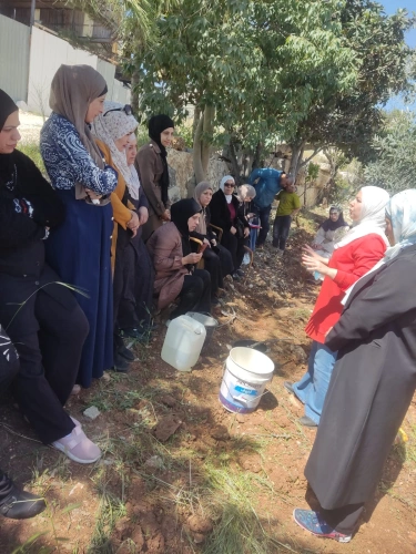 Ministry of Agriculture: North Hebron Agriculture Directorate , in partnership with (UNDP), continues to implement field school activities in Sa&rsquo;ir and Beit Ula with the participation of 30 beneficiaries to promote olive cultivation practices