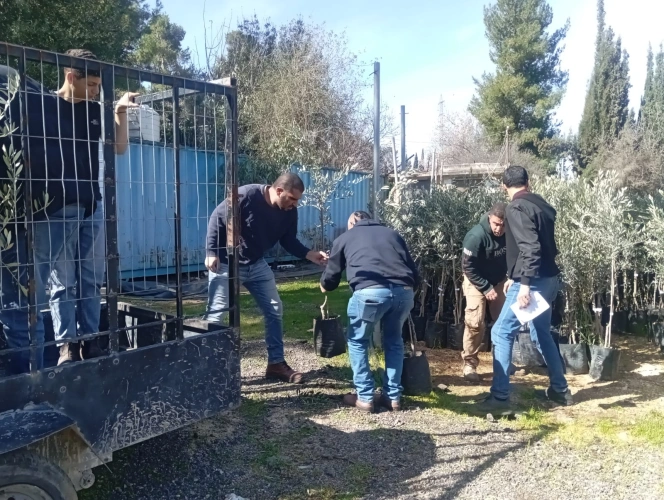 The Ministry of Agriculture and UNDP, with funding from Austria, Finland and the IBSA Fund, are supporting about 180 farmers in Hebron within the “Palestine Interconnection” program and “My Initiative” project