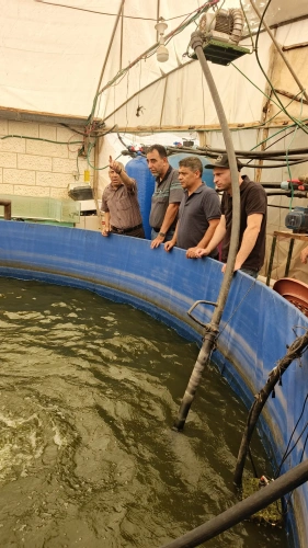 Ministry of Agriculture: As part of "Sanet" project, Tulkarem Agriculture Directorate receives equipment for manufacturing fish feed to enhance value chains and fish farming in Palestine.