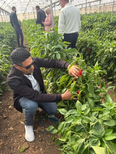 Ministry of Agriculture: Jericho and Jordan Valley Agriculture Directorate conducts a field visit to the northern Jordan Valley as part of the EVAP III project
