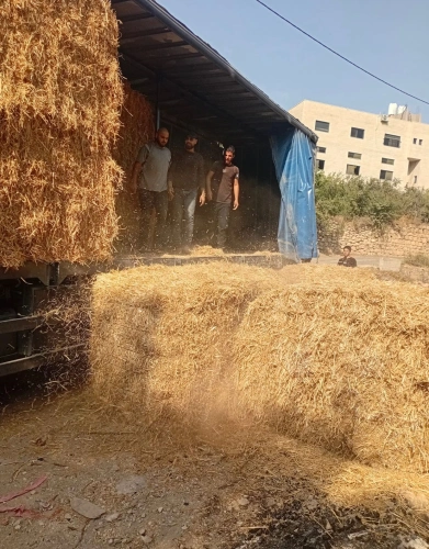 🔴 وزارة الزراعة توزّع 24 بالة قش (حجم كبير، وزن 450 كيلوغراماً للبالة) على 15 مزارعاً متضرراً في عين عريك ودير إبزيع والمدية.