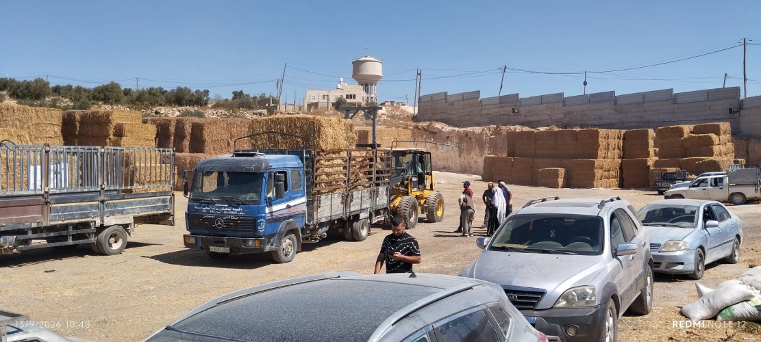 🔴 وزارة الزراعة: بإشراف ومشاركة زراعة يطا وتمويل التعاون الإيطالي، مركز معاً التنموي وأوكسفام بالشراكة مع المجلس القروي يقدمان 78 بالة أعلاف (حجم كبير بوزن 450 كيلو للبالة) لـ49 مزارعاً في مسافر يطا
