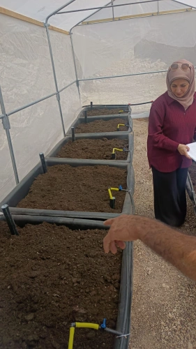 Ministry of Agriculture: Tulkarem Agriculture, in partnership with the Applied Research Institute – ARIJ and Save the Children, completes the handover of four hydroponic farming units and three biogas digesters units.