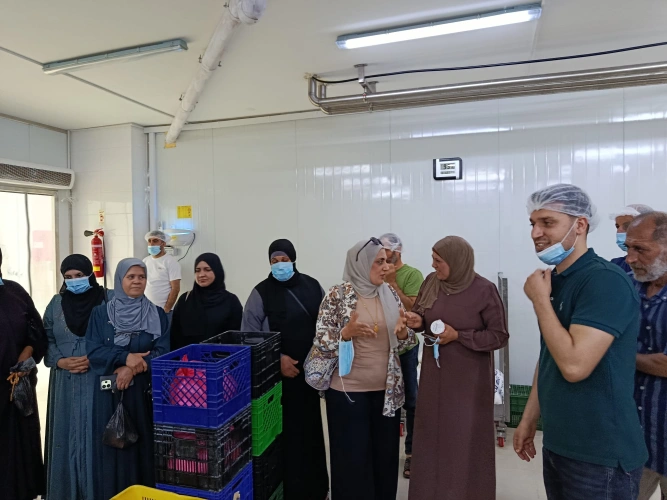 Ministry of Agriculture: Tulkarem Agriculture Directorate conducts a field visit to Jenin for 20 beneficiaries from Sida to enhance marketing opportunities in partnership with JICA within the "Evap 3" project.