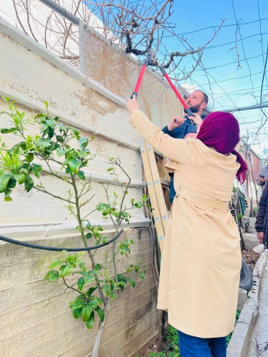 Ministry of Agriculture: Bani Naim Agriculture and Veterinary Department / North Hebron Agriculture Directorate, holds a field day to prune grape trees for 15 female farmers in the town of Bani Naim.