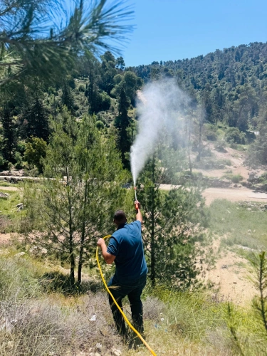 Ministry of Agriculture: North Hebron Agriculture Directorate carries out spraying campaign to combat the squirt insect in forests and afforestation projects