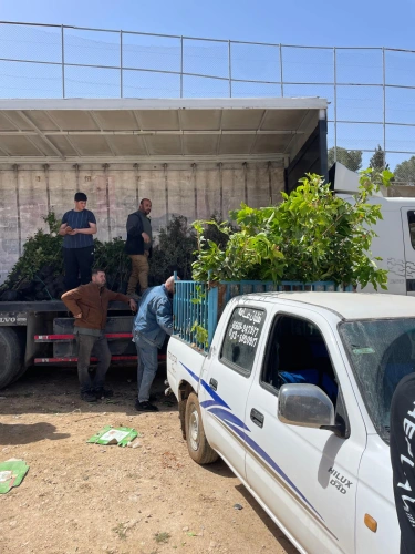 The Ministry of Agriculture and the Land Research Center distribute 3,000 assorted fruit seedlings in Beit al-Rush al-Fouqa, south of Hebron