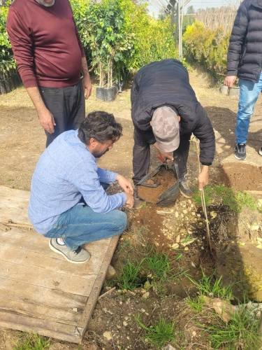 Ministry of Agriculture: The Higher Committee for Nursery Licensing is monitoring the compliance of Jenin nurseries with the instructions for licensing and producing seedlings