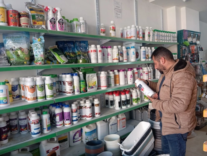Ministry of Agriculture: North Hebron Agriculture Directorate conducts an inspection tour of shops selling fertilizers and agricultural pesticides