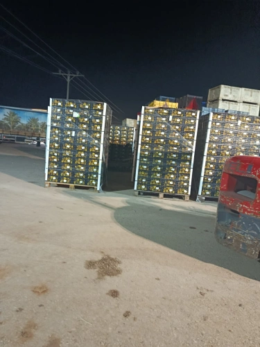 Ministry of Agriculture: Jordanian Customs exempts Palestinian agricultural exports and other products from duties and fines resulting from the occupation’s measures at the commercial crossing/King Hussein Bridge