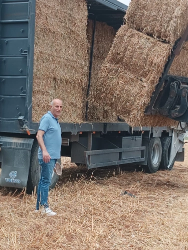 The Ministry of Agriculture distributed 90 large straw bales (450 kg each) to livestock farmers affected by settler attacks in some the villages north of Ramallah