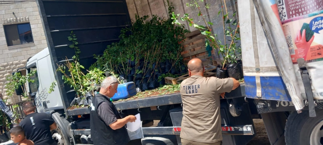 وزارة الزراعة: مديرية زراعة جنين بالشراكة مع المركز الفلسطيني للتنمية توزع 2,645 شتلة لوزيات على 14 مزارعاً في عرابة وكفر راعي وعجة.