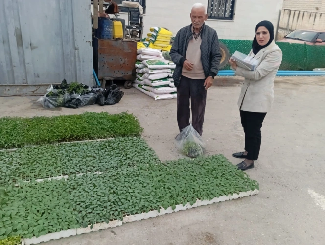 Ministry of Agriculture: North of Hebron Agriculture Directorate distributes vegetable seedlings and fertilizers to 32 farmers in the town of Nuba in partnership with "Areej" and with the support of the World Food Programme
