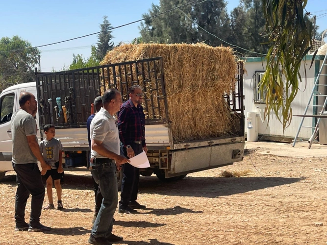 In response to the repercussions of the Israeli attacks in the northern Jordan Valley, the Ministry of Agriculture implements an urgent intervention to support livestock breeders