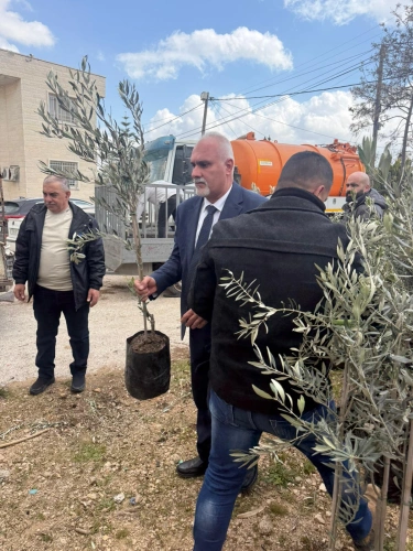 The Ministry of Agriculture distributes 465 enlarged olive seedlings to farmers affected by the occupation's violations in Beit Awa and the western line of southern Hebron