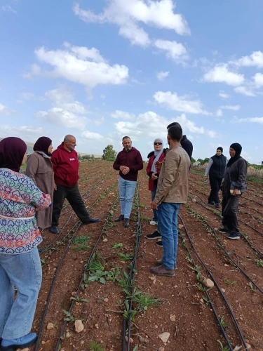 Ministry of Agriculture: Jenin Agriculture Directorate, in partnership with JICA, conducts an awareness-raising field visit to Tubas with the participation of 14 farmers as part of the EVAP 3 project.