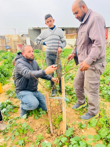 Ministry of Agriculture: North Hebron Agriculture Directorate carries out guidance tours in Nuba, Beit Ummar and Bani Na&rsquo;im.