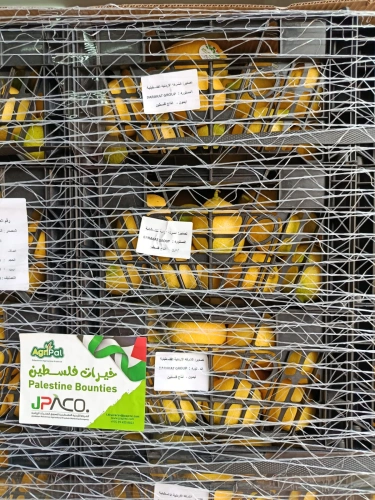 Ministry of Agriculture: Slaimiya announces the completion of the official accreditation of Palestinian products in the Saudi market, and calls on exporters to start exporting only surplus products