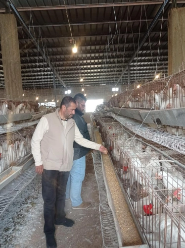 Ministry of Agriculture: Yatta Agriculture and Veterinary Department conducts field guidance and awareness visits to a mushroom production farm and a laying hen farm