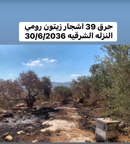 Weekly briefing on the documentation of the Ministry of Agriculture's records of Israeli occupation violations against the agricultural sector during the period from 23/6/2026 to 2/7/2026