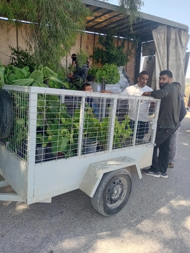 Ramallah and Al-Bireh Agriculture Directorate supervised the planting of 4,600 fruit trees for 40 farmers through a reforestation project funded by Danish Islamic Aid and implemented with partner organizations