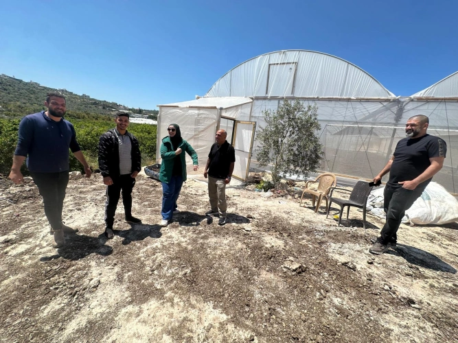 The Ministry of Agriculture: Tulkarem Directorate of Agriculture, with partners, support agricultural cooperatives and youth groups, benefiting 100 people across several villages
