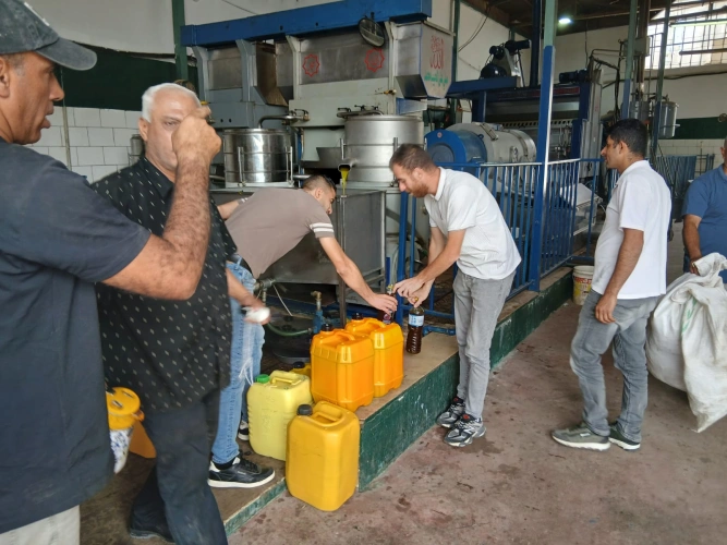 Ministry of Agriculture: Jerusalem Agriculture Directorate organizes an inspection tour to olive oil mills to ensure compliance with safety and quality standards.