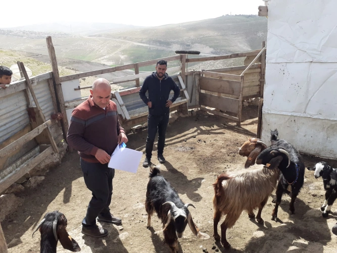 Ministry of Agriculture: Jerusalem Agriculture Directorate team is following up on the implementation of projects benefiting 34 farmers, worth 932,000 shekels, within the framework of the European-funded agricultural assistance program