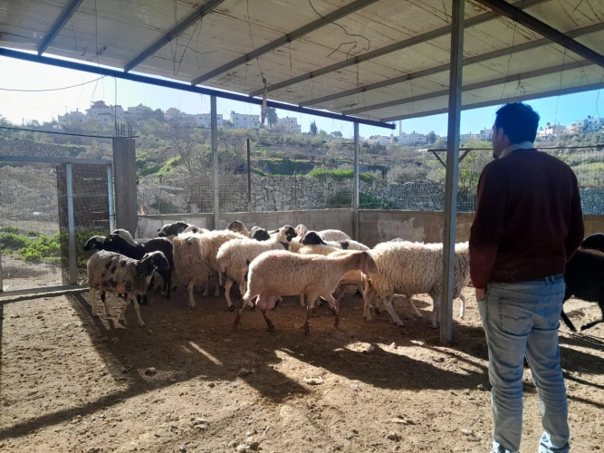 Field follow-up and visits on EU-funded agricultural assistance projects in the governorates of Bethlehem and Hebron