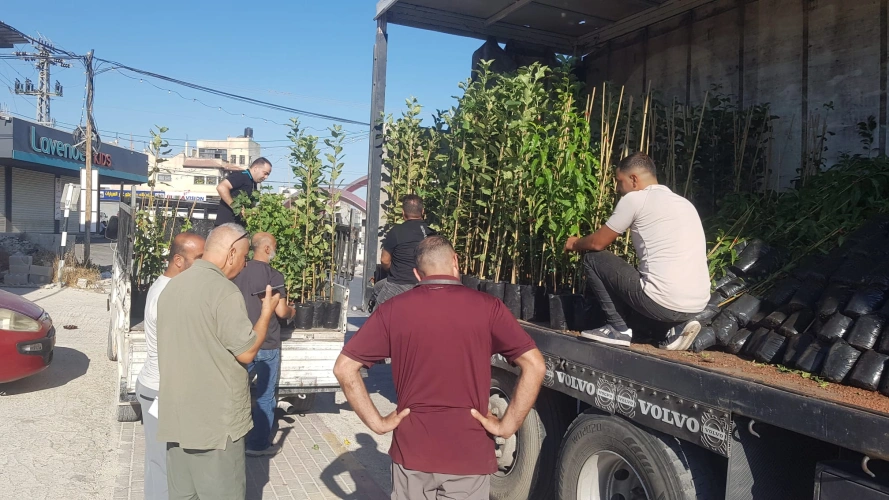 🔴 وزارة الزراعة: بإشراف ومشاركة مديرية زراعة جنين.. المركز الفلسطيني للتنمية الاقتصادية والاجتماعية يوزع 2,275 شتلة لوزيات على 10 مزارعين في سيلة الظهر وجبع وميثلون والفندقومية والجديدة.