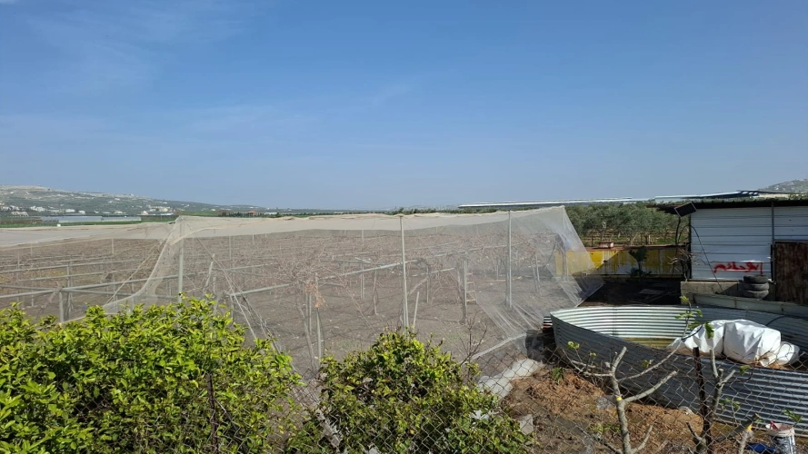 Ministry of Agriculture: Technical committees in Jenin receive a project for a conveyor line for farmers in Araba Plain as part of the European aid program