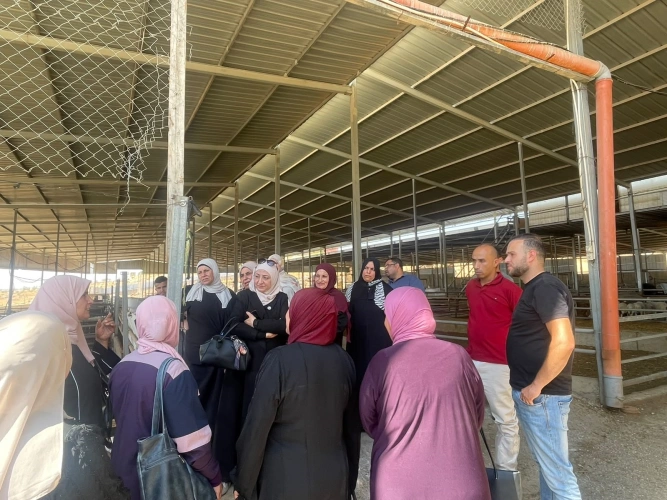 The Ministry of Agriculture concludes a comprehensive training program targeting over 800 female livestock breeders across 35 locations in the West Bank.