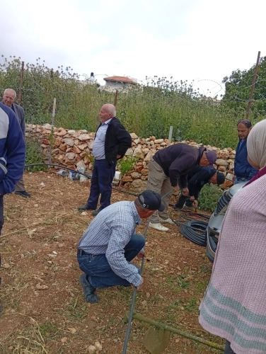 Ministry of Agriculture: Bethlehem Agriculture, in partnership with FAO and the Arab Agricultural Engineers Association, conclude the field school activities for olive and grape crops in Husan and Battir, with the participation of 45 beneficiaries