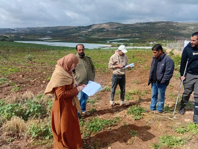The Ministry of Agriculture, in partnership with FAO, conduct field inspection tours as part of the “Green Jobs” project, funded by the Danish government, for (331) farmers in Surif, Jala, Shuyukh al-Aroub and al-Shuyukh