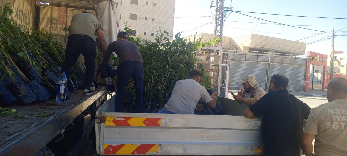 🔴 وزارة الزراعة: باشراف ومتابعة زراعة طوباس ، &nbsp;توزيع 4,000 شتلة لوزيات مروية لصالح 25 مزارعًا، &nbsp;من قبل المركز الفلسطيني(ESDC) &nbsp;بالشراكة مع الاغاثة الزراعية، وذلك ضمن مشروع تحسين سبل العيش والأمن الغذائي الممول من مكتب الممثلية الهولندية.