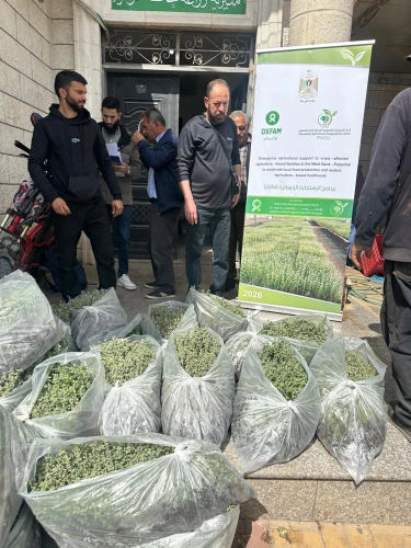 Ministry of Agriculture: Tulkarem Agriculture and the Union of Agricultural Cooperative Societies, with funding from Oxfam, deliver 130,000 thyme seedlings to 50 farmers