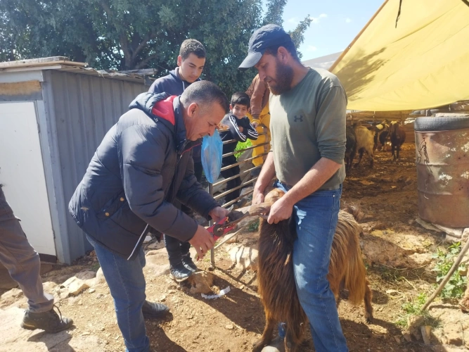 The Technical Committee in Qalqilya receives 15 projects for farmers and livestock breeders, with a value of 615,135 shekels within the agricultural assistance program funded by the European Union