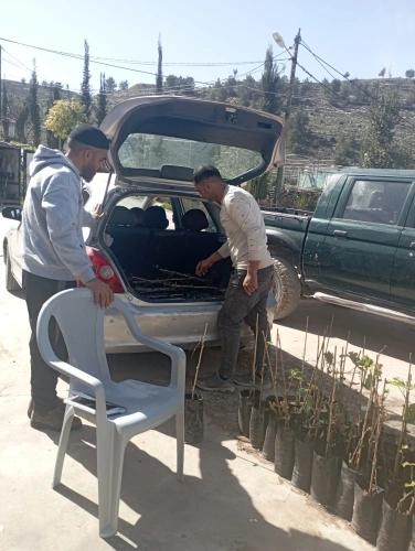 Ministry of Agriculture: North Hebron Agriculture Directorate, in partnership with the YMCA, distributed 2,430 grape and almond seedlings to 27 farmers as part of “Supporting Farmers’ Resilience” project