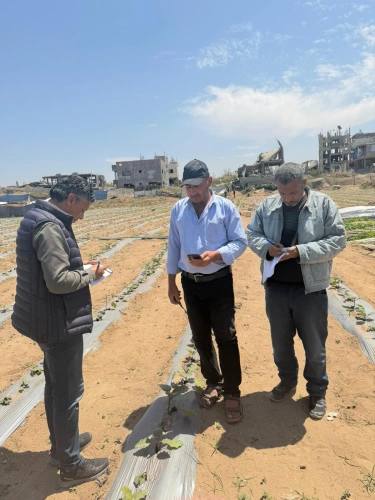 Ministry of Agriculture: The Agricultural Emergency Committee conducts a field operations and specializing in northern Gaza, and is monitoring widespread destruction in the agricultural sector