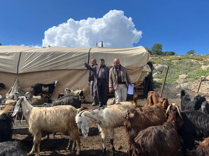 Ministry of Agriculture: Bethlehem Directorate staff conducted field inspections of EU-funded agricultural projects awarded to eight farmers, worth 270,064 shekels