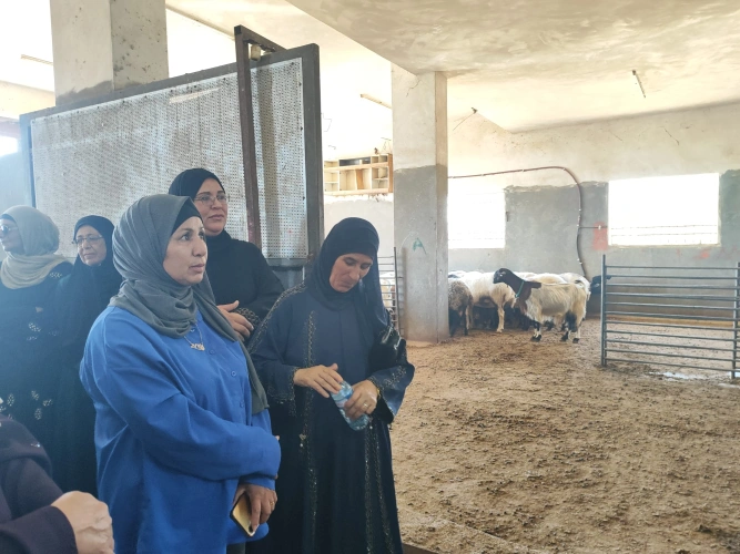 وزارة الزراعة: مديرية زراعة بيت لحم تنفذ بالشراكة مع "الفاو" وبدعم من الاتحاد الأوروبي زيارة ميدانية لـ20 مزارعة حول إدارة المزارع الحديثة والسلامة الصحية لمنتجات الحليب.