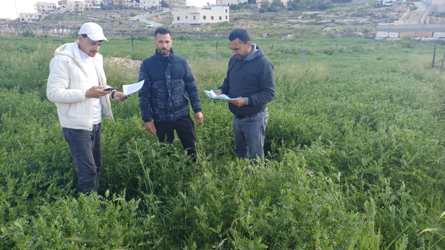 Ministry of Agriculture: North Hebron Agriculture  Directorate conducts field visits to verify crop cultivation and monitor the commitment of 64 beneficiaries within the Green Jobs Project in Al-Shuyoukh